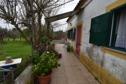 Terreno Agricola ou Rústico para Venda em Mouriscas