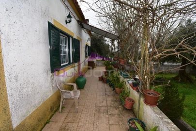 Terreno Agricola ou Rústico para Venda em Mouriscas