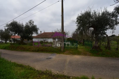 Terreno Agricola ou Rústico para Venda em Mouriscas