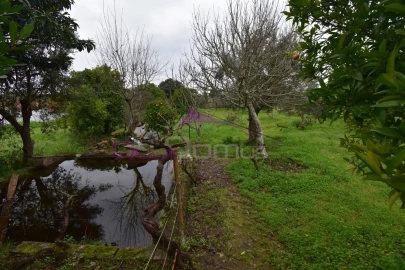 Terreno Agricola ou Rústico para Venda em Mouriscas