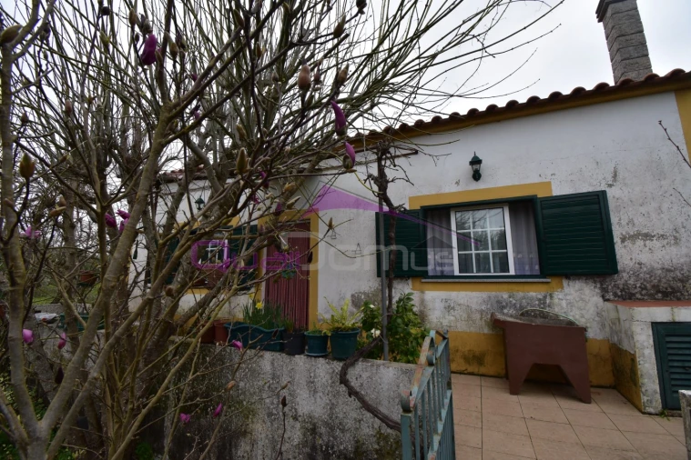 Terreno Agricola ou Rústico para Venda em Mouriscas Foto 2