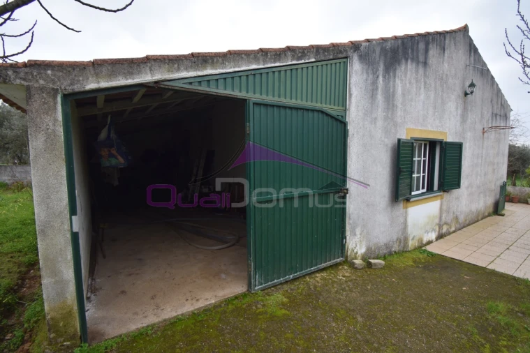 Terreno Agricola ou Rústico para Venda em Mouriscas Foto 8