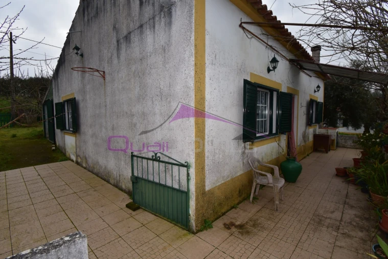Terreno Agricola ou Rústico para Venda em Mouriscas Foto 5