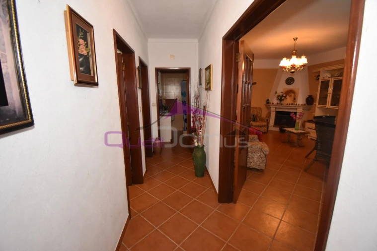Terreno Agricola ou Rústico para Venda em Mouriscas Foto 20