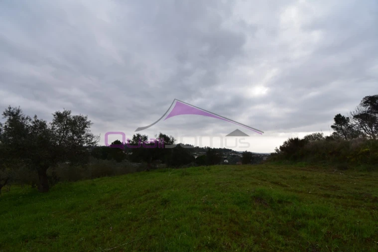 Terreno Agricola ou Rústico para Venda em Mouriscas Foto 28