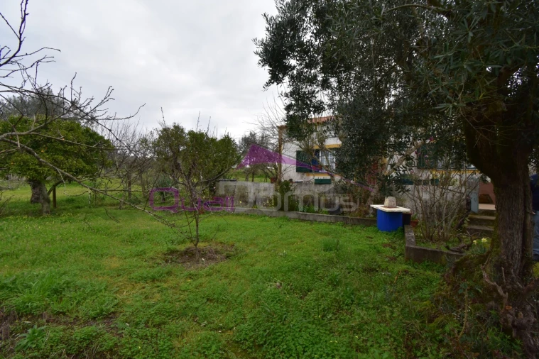 Terreno Agricola ou Rústico para Venda em Mouriscas Foto 31
