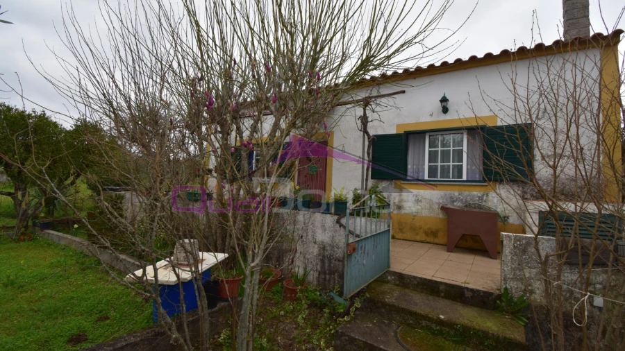 Terreno Agricola ou Rústico para Venda em Mouriscas