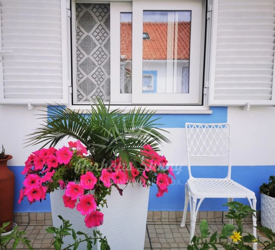 Moradia T3 para Venda em Grândola e Santa Margarida da Serra Foto 21