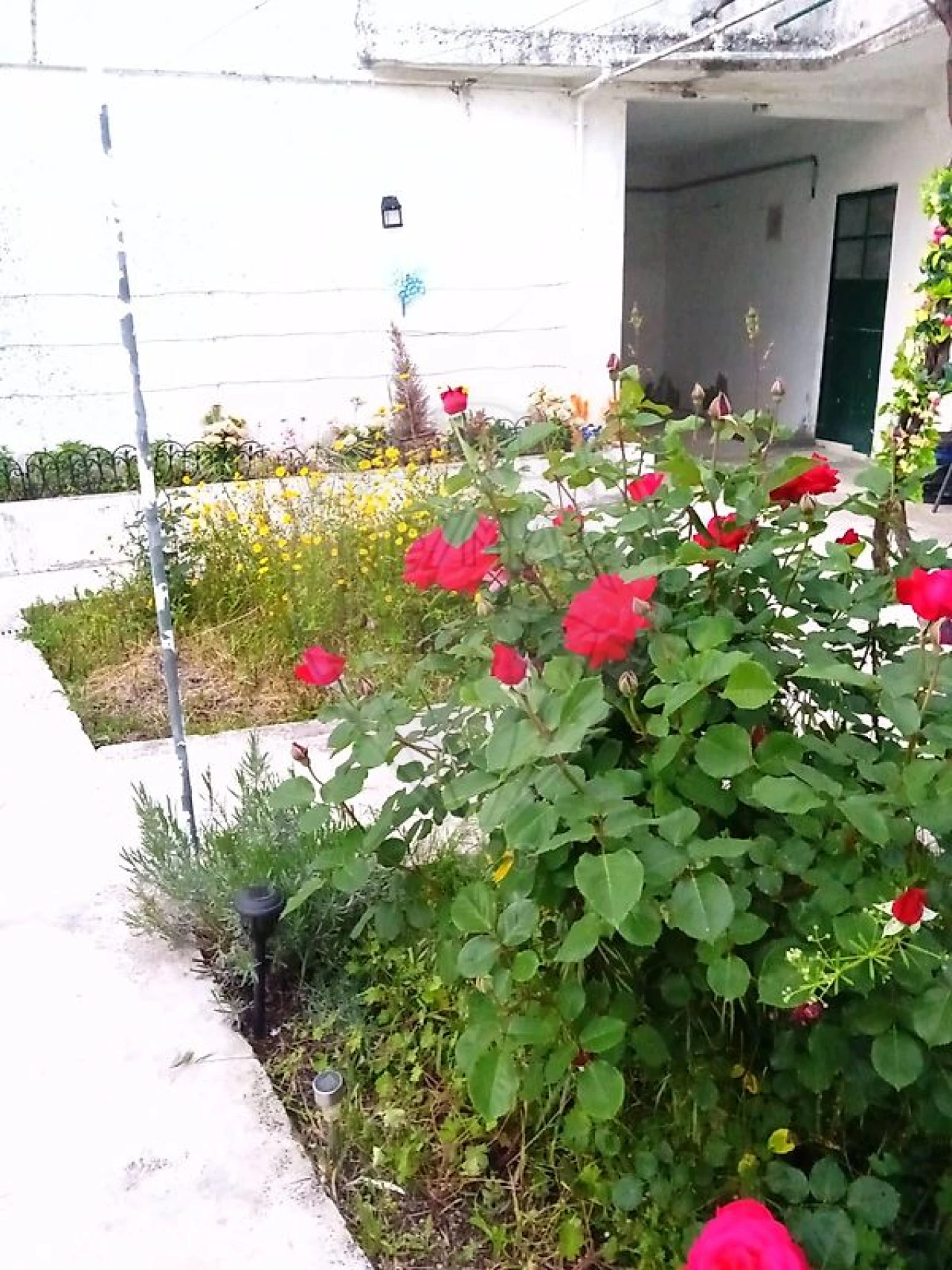 Moradia T3 para Venda em Freixial e Juncal do Campo Foto 34