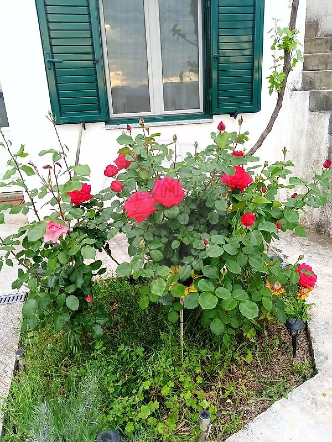 Moradia T3 para Venda em Freixial e Juncal do Campo Foto 31