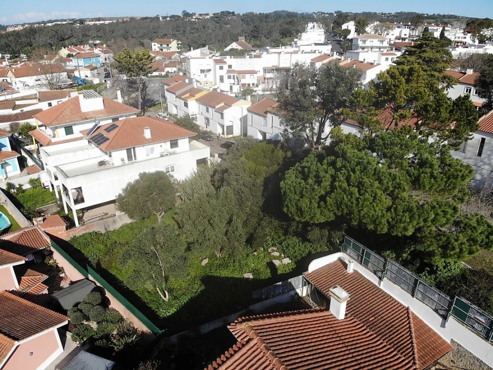 Terreno para Venda em Santa Maria e São Miguel, São Martinho, São Pedro Penaferrim Foto 2