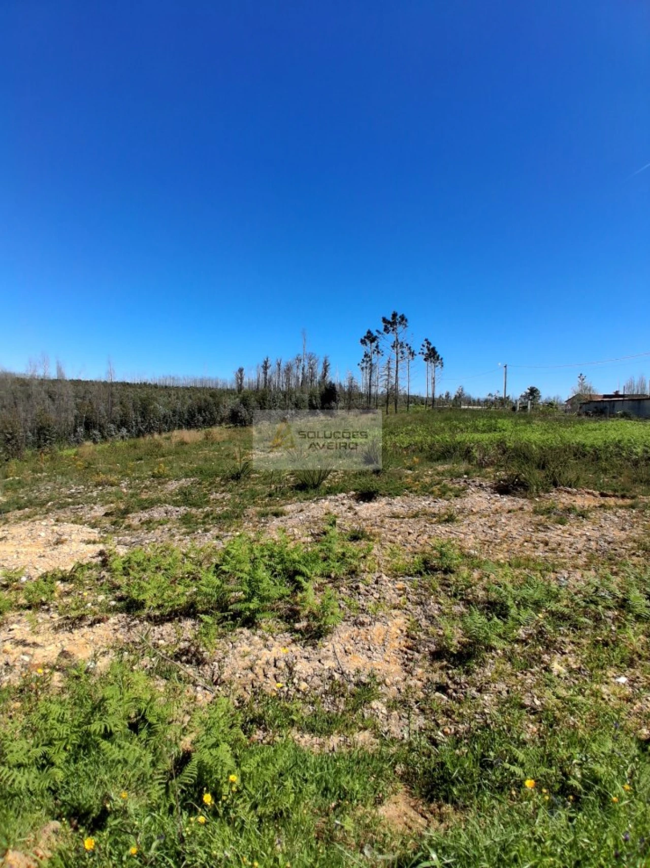 Terreno para Venda em Valongo do Vouga Foto 3