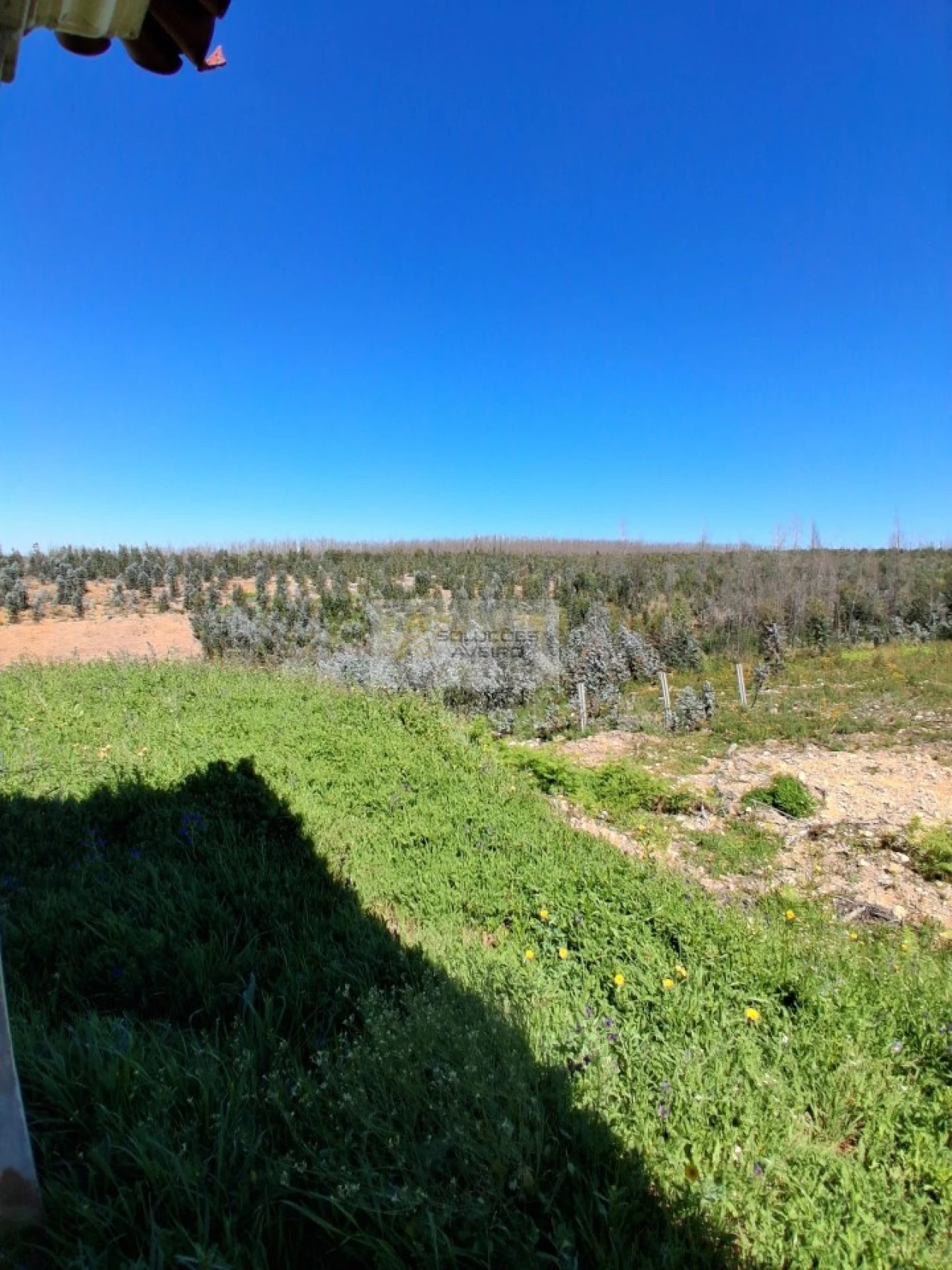 Terreno para Venda em Valongo do Vouga Foto 6