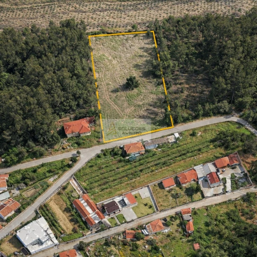 Terreno para Venda em Valongo do Vouga Foto 1