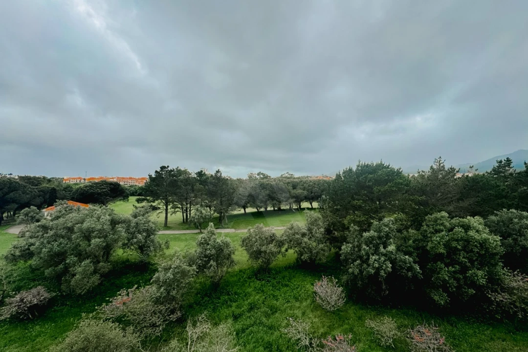 Apartamento T1 para Arrendamento em Santa Maria e São Miguel, São Martinho, São Pedro Penaferrim Foto 4