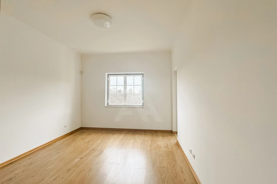 Apartamento T1 para Arrendamento em Santa Maria e São Miguel, São Martinho, São Pedro Penaferrim Foto 7