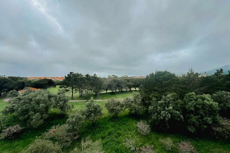Apartamento T1 para Arrendamento em Santa Maria e São Miguel, São Martinho, São Pedro Penaferrim Foto 4