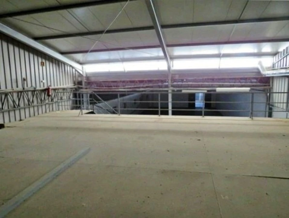 Armazém para Venda em Muge Foto 10