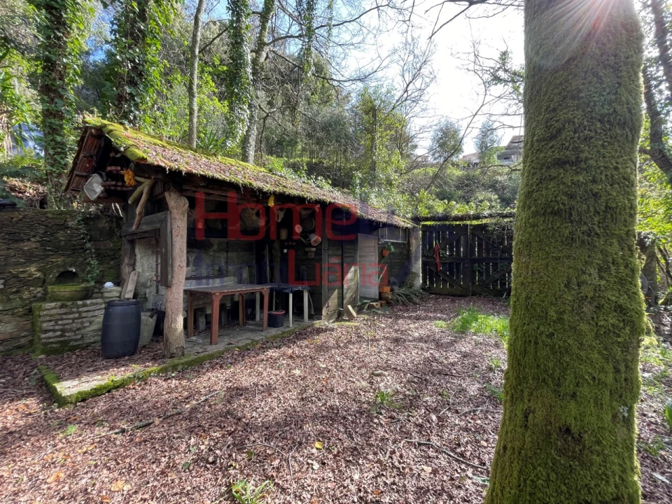 Terreno Agricola ou Rústico para Venda em Pinheiro da Bemposta, Travanca e Palmaz Foto 1