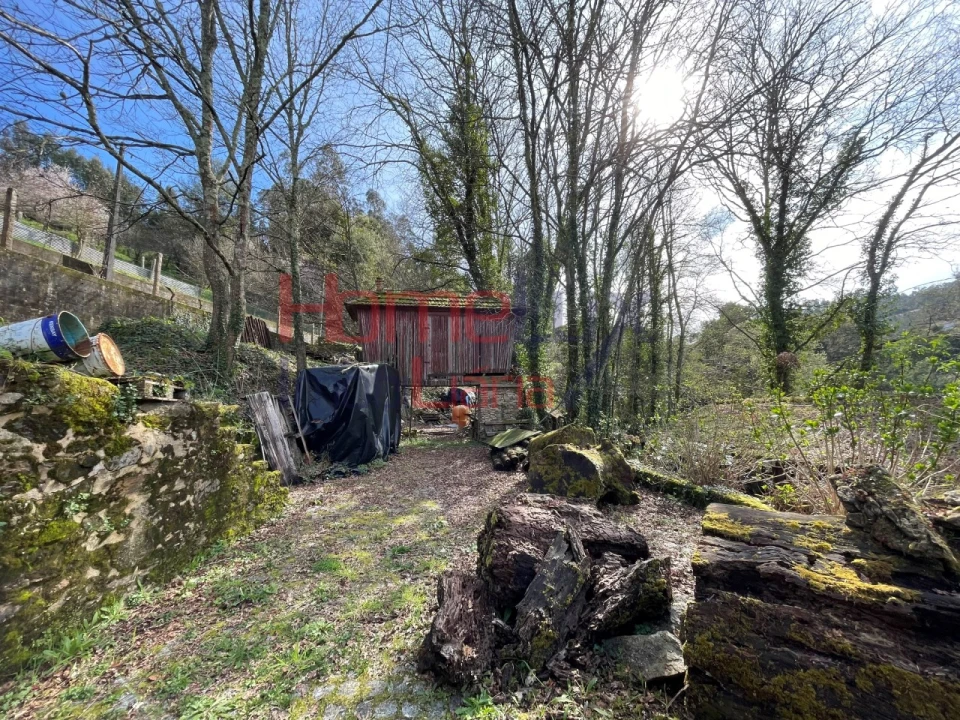 Terreno Agricola ou Rústico para Venda em Pinheiro da Bemposta, Travanca e Palmaz Foto 5