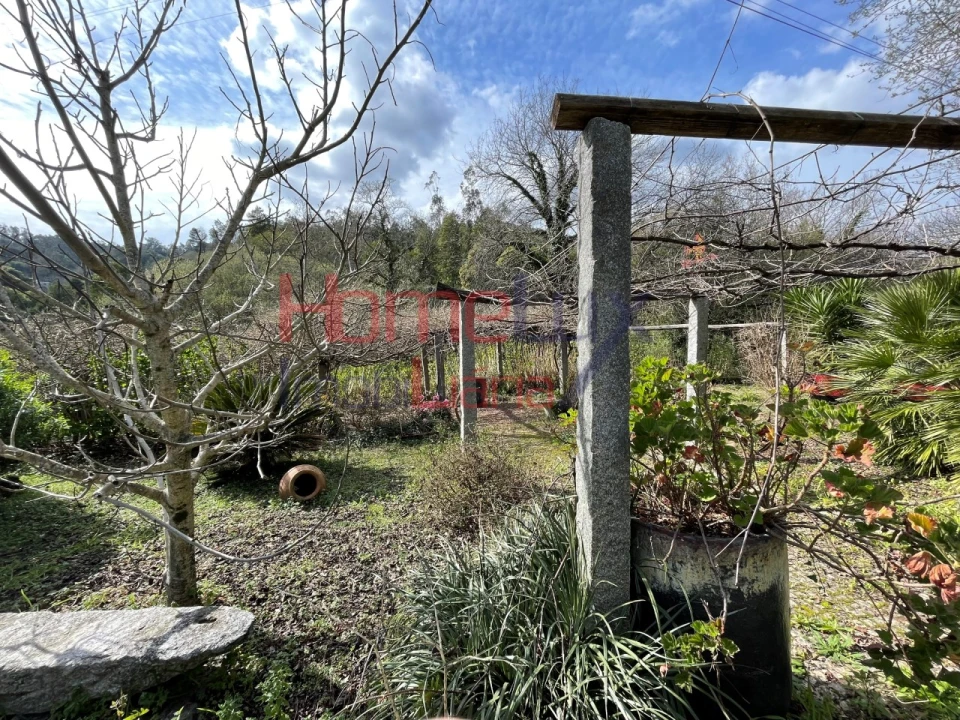 Terreno Agricola ou Rústico para Venda em Pinheiro da Bemposta, Travanca e Palmaz Foto 6