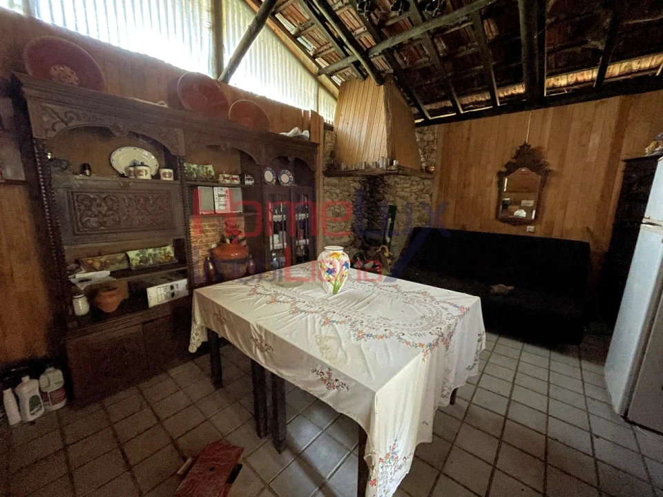 Terreno Agricola ou Rústico para Venda em Pinheiro da Bemposta, Travanca e Palmaz Foto 10