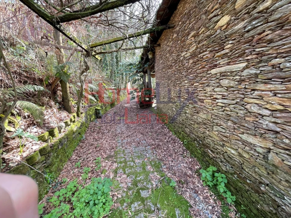 Terreno Agricola ou Rústico para Venda em Pinheiro da Bemposta, Travanca e Palmaz Foto 15