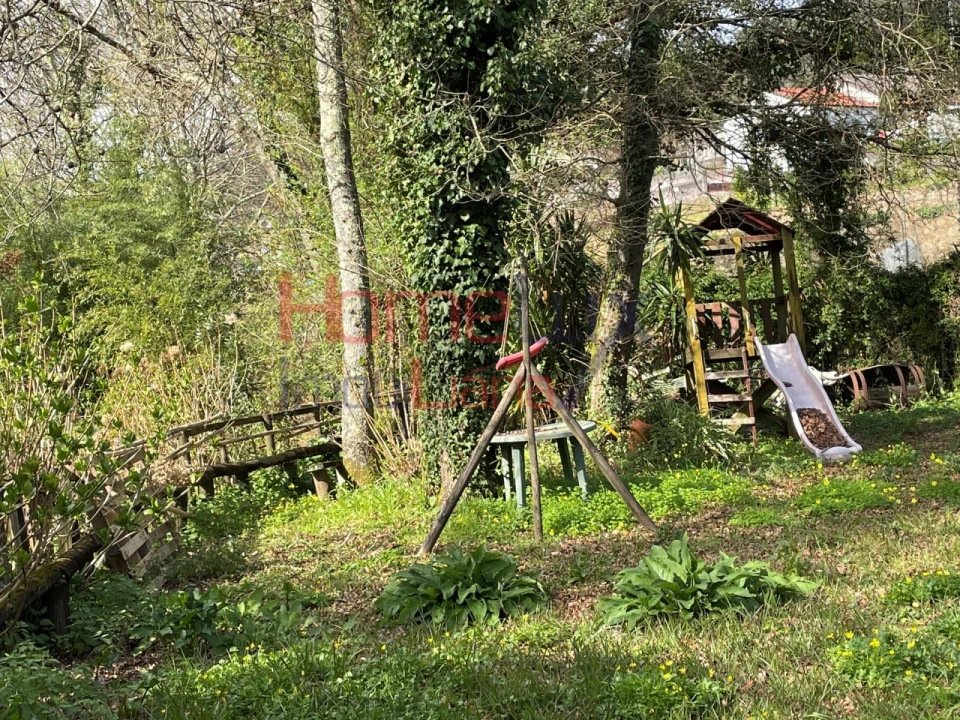 Terreno Agricola ou Rústico para Venda em Pinheiro da Bemposta, Travanca e Palmaz Foto 19