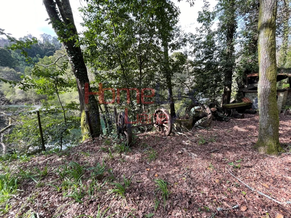 Terreno Agricola ou Rústico para Venda em Pinheiro da Bemposta, Travanca e Palmaz Foto 24