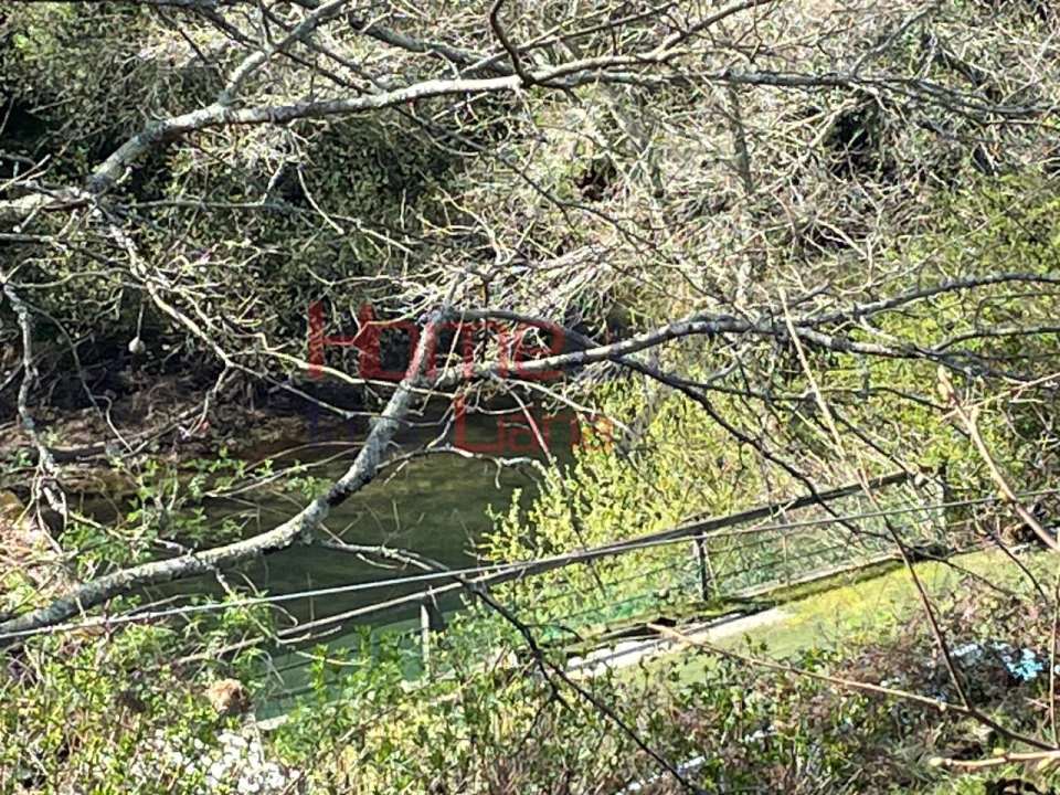 Terreno Agricola ou Rústico para Venda em Pinheiro da Bemposta, Travanca e Palmaz Foto 26