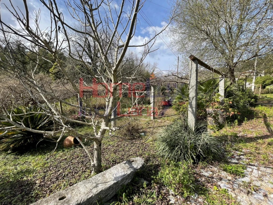 Terreno Agricola ou Rústico para Venda em Pinheiro da Bemposta, Travanca e Palmaz Foto 27