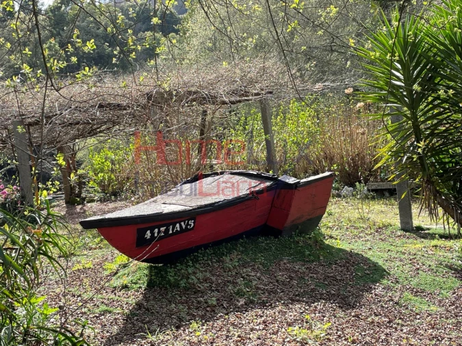 Terreno Agricola ou Rústico para Venda em Pinheiro da Bemposta, Travanca e Palmaz Foto 2