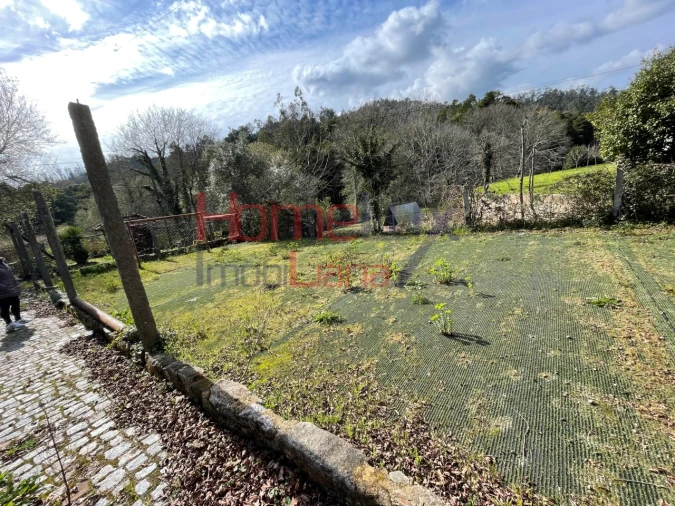 Terreno Agricola ou Rústico para Venda em Pinheiro da Bemposta, Travanca e Palmaz Foto 3
