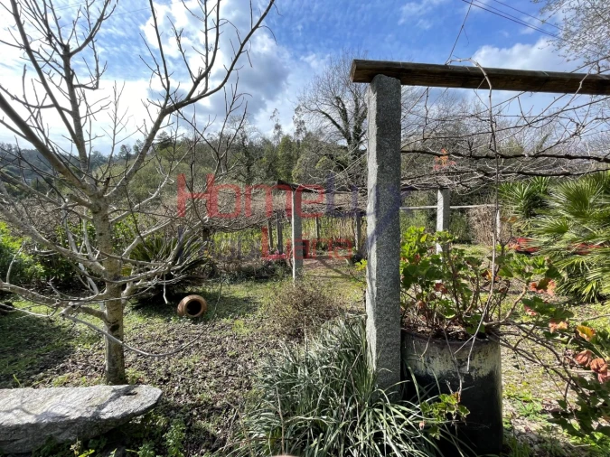 Terreno Agricola ou Rústico para Venda em Pinheiro da Bemposta, Travanca e Palmaz Foto 6