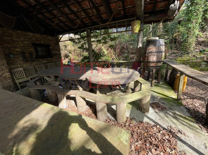 Terreno Agricola ou Rústico para Venda em Pinheiro da Bemposta, Travanca e Palmaz Foto 7