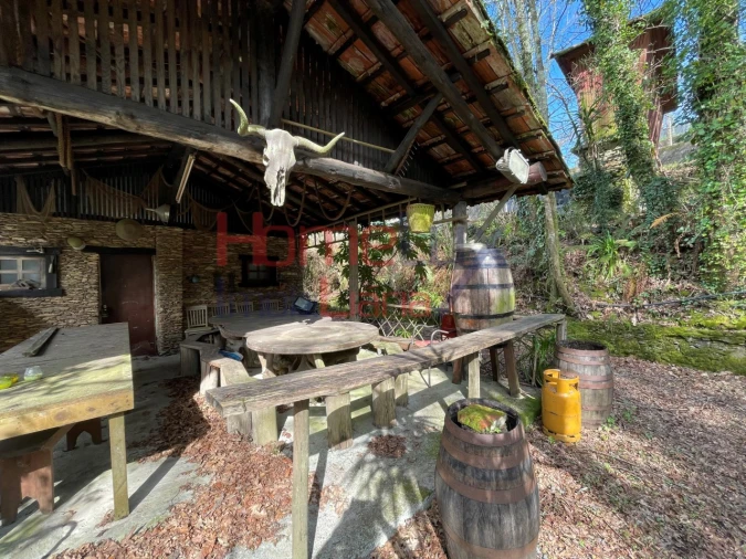 Terreno Agricola ou Rústico para Venda em Pinheiro da Bemposta, Travanca e Palmaz Foto 8
