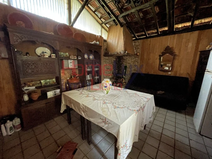 Terreno Agricola ou Rústico para Venda em Pinheiro da Bemposta, Travanca e Palmaz Foto 10