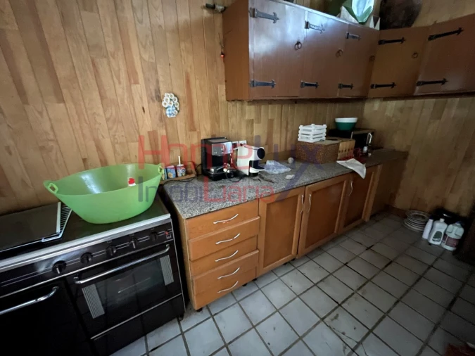 Terreno Agricola ou Rústico para Venda em Pinheiro da Bemposta, Travanca e Palmaz Foto 11