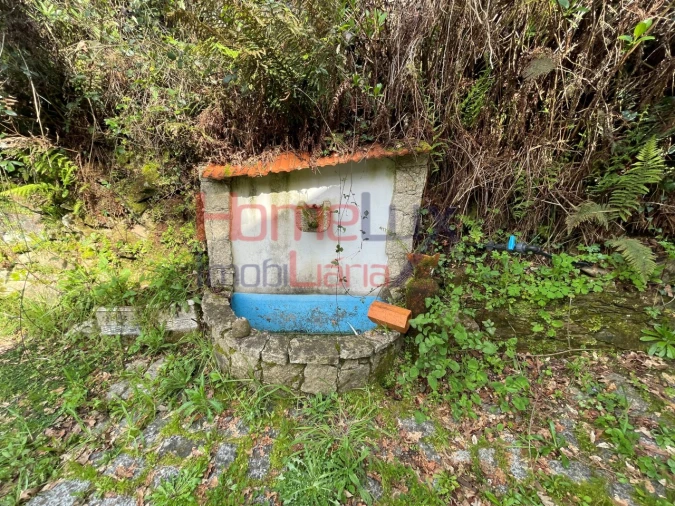 Terreno Agricola ou Rústico para Venda em Pinheiro da Bemposta, Travanca e Palmaz Foto 14