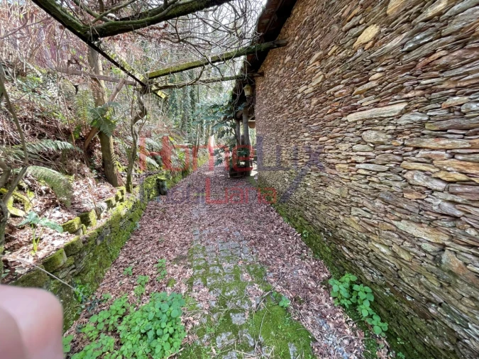 Terreno Agricola ou Rústico para Venda em Pinheiro da Bemposta, Travanca e Palmaz Foto 15