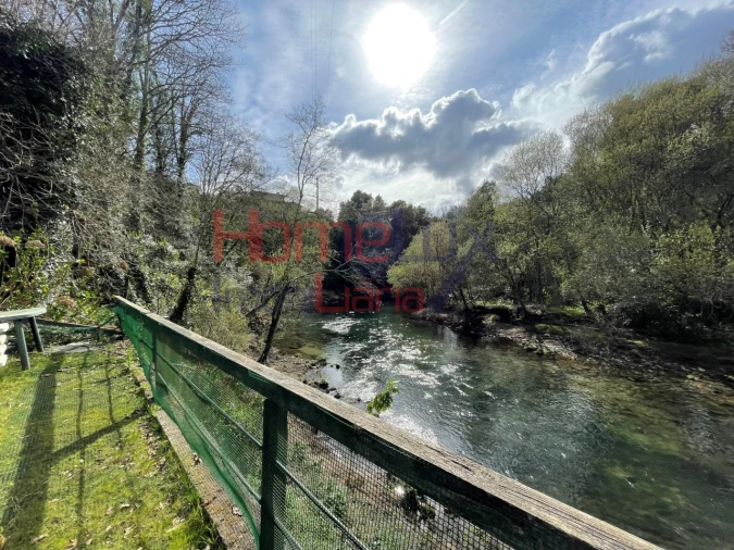 Terreno Agricola ou Rústico para Venda em Pinheiro da Bemposta, Travanca e Palmaz Foto 17