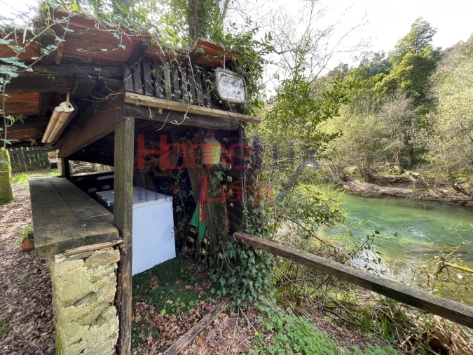 Terreno Agricola ou Rústico para Venda em Pinheiro da Bemposta, Travanca e Palmaz Foto 21