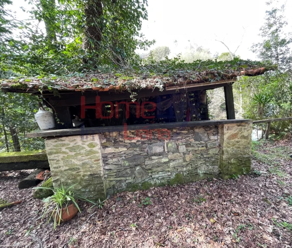 Terreno Agricola ou Rústico para Venda em Pinheiro da Bemposta, Travanca e Palmaz Foto 22