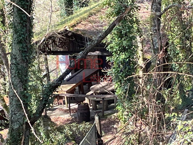 Terreno Agricola ou Rústico para Venda em Pinheiro da Bemposta, Travanca e Palmaz Foto 28