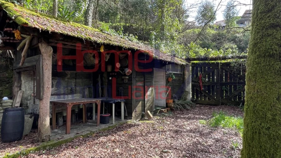 Terreno Agricola ou Rústico para Venda em Pinheiro da Bemposta, Travanca e Palmaz