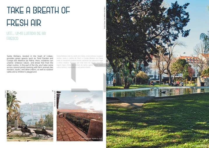 Loja para Venda em Arroios Foto 12