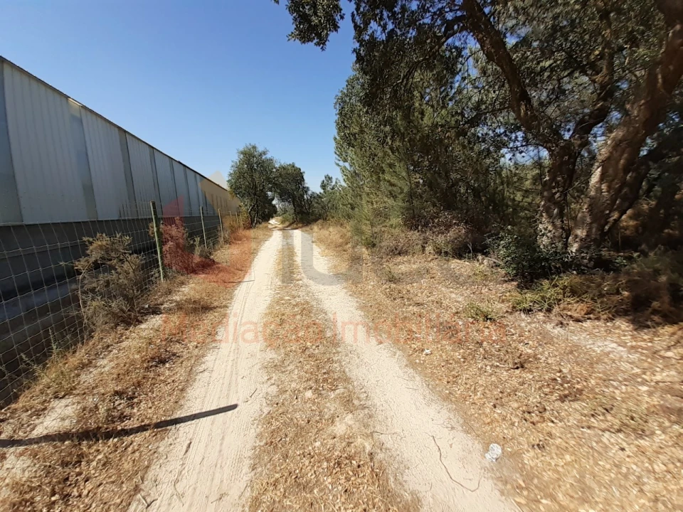 Terreno Agricola ou Rústico para Venda em Pinhal Novo Foto 3