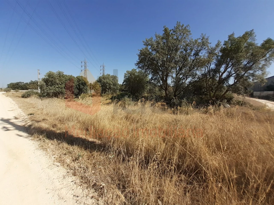 Terreno Agricola ou Rústico para Venda em Pinhal Novo Foto 9