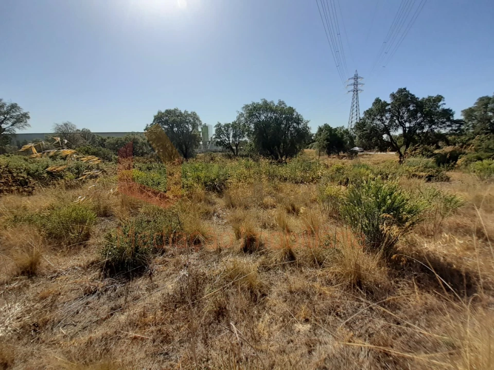 Terreno Agricola ou Rústico para Venda em Pinhal Novo Foto 11