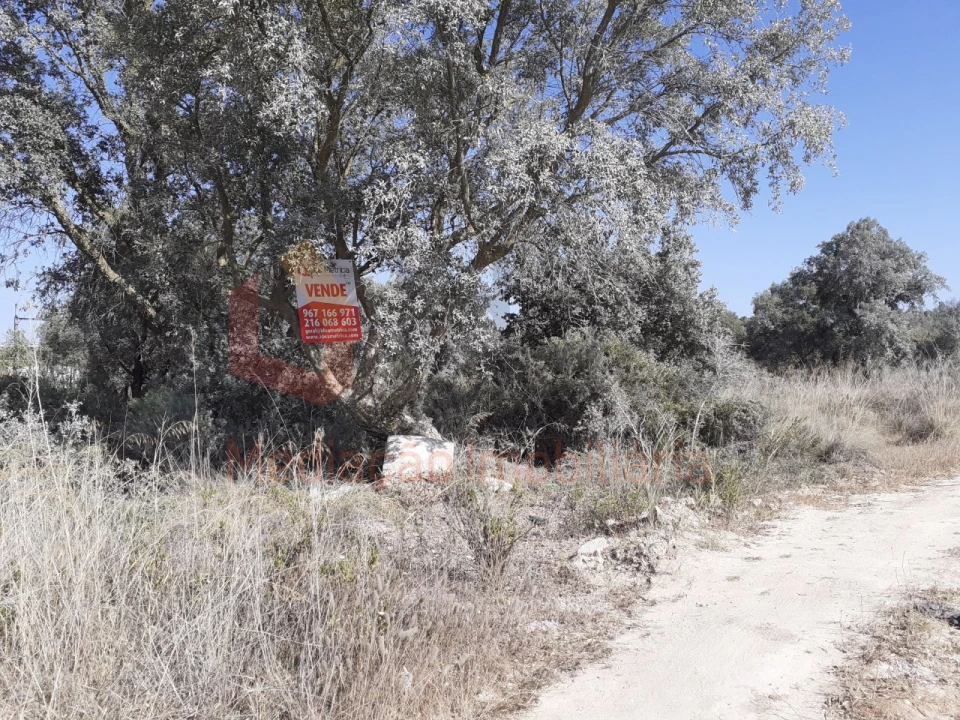 Terreno Agricola ou Rústico para Venda em Pinhal Novo Foto 12